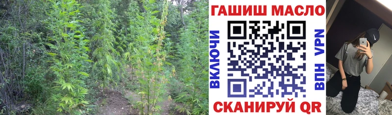 ТГК THC oil  хочу наркоту  omg ССЫЛКА  Стерлитамак 